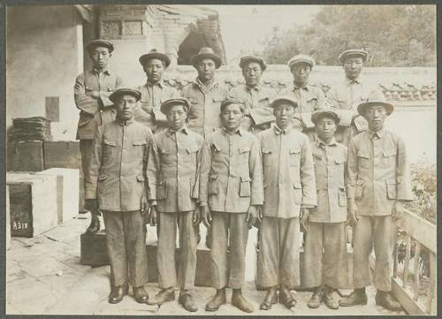 洛克王国紫藤在哪里获得(洛克王国独角兽紫藤是什么)插图31