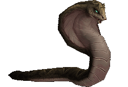 wow猎人宠物大全(魔兽猎人必抓宝宝大全)