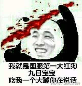 dnf十三使徒介绍(使徒赫尔德的强大力量)