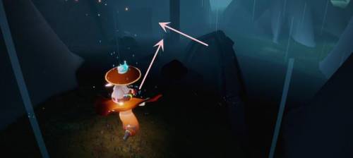 光遇雨林先祖(雨林最后一个先祖怎么弄)插图14