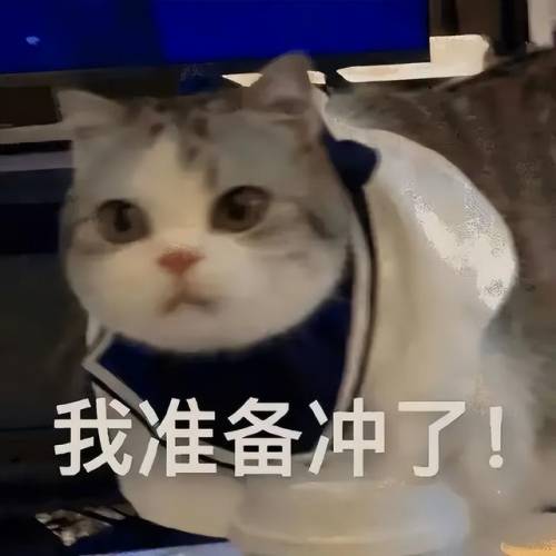 新网游公测(即将公测手游排行榜)插图