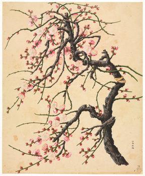 洛克王国紫藤在哪里获得(洛克王国独角兽紫藤是什么)插图13