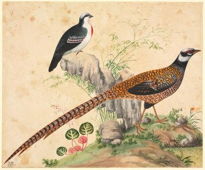 洛克王国紫藤在哪里获得(洛克王国独角兽紫藤是什么)插图22