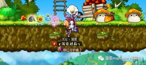 冒险岛恶魔猎手完美核心(冒险岛恶魔猎手技能详细列表)插图14
