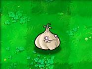 植物大战僵尸最老版本(pvz所有版本)插图73