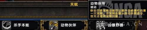 wow猎人宠物大全(魔兽猎人必抓宝宝大全)插图2