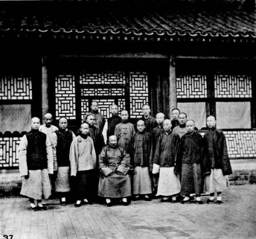 洛克王国紫藤在哪里获得(洛克王国独角兽紫藤是什么)插图43