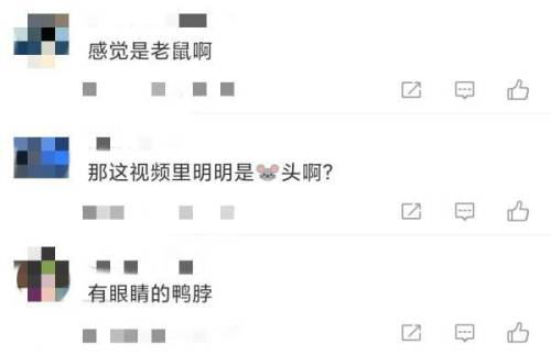 老鼠出装2021(丛刃老鼠出装)插图11