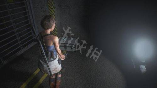 生化危机3攻略图解(生化危机4超详细全流程)插图1