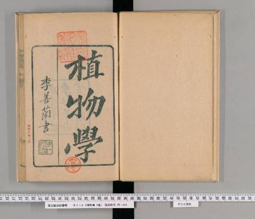洛克王国紫藤在哪里获得(洛克王国独角兽紫藤是什么)插图46