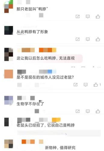 老鼠出装2021(丛刃老鼠出装)插图12