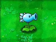 植物大战僵尸最老版本(pvz所有版本)插图42