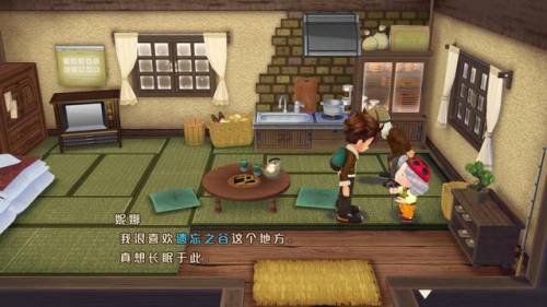 牧场物语双子村攻略(牧场物语哪一作是神作)插图3
