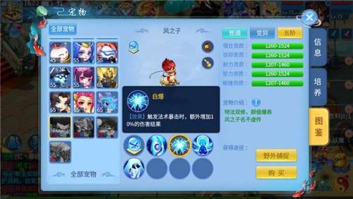 天书奇谈术士转生后怎么加点(天书奇谈100级转生有必要么)插图