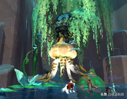 瓦丝琪尔怎么去(魔兽世界瓦斯琪尔起始任务)
