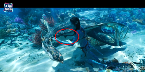 《阿凡达2》预告曝光(阿凡达2电影什么时候上映)插图31