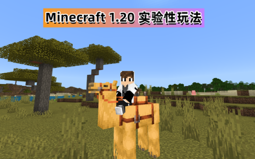 《我的世界》基岩版(mycraft基岩版)