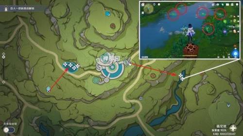 月莲分布(须弥卖月莲的商人)插图5 月莲分布(须弥卖月莲的商人)插图5