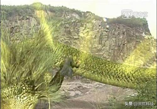 风云2七武器问题答案(风云七剑哪个红色侠客最强)