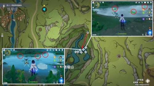 月莲分布(须弥卖月莲的商人)插图2 月莲分布(须弥卖月莲的商人)插图2