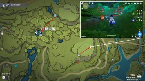 月莲分布(须弥卖月莲的商人)插图4 月莲分布(须弥卖月莲的商人)插图4