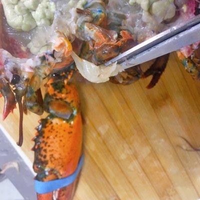波士顿龙虾图片(小青龙贵还是波士顿贵)插图3