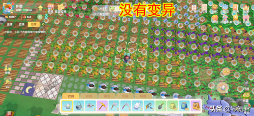摩尔庄园变异植物攻略(摩尔庄园植物杂交变异活动结束时间)插图1