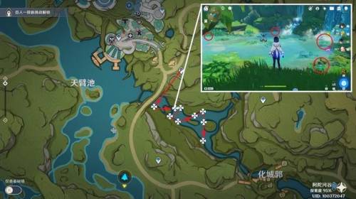 月莲分布(须弥卖月莲的商人)插图1 月莲分布(须弥卖月莲的商人)插图1