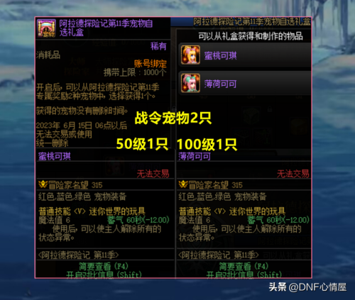 dnf第六期战令奖励一览(dnf15周年庆战令奖励活动时间)插图4