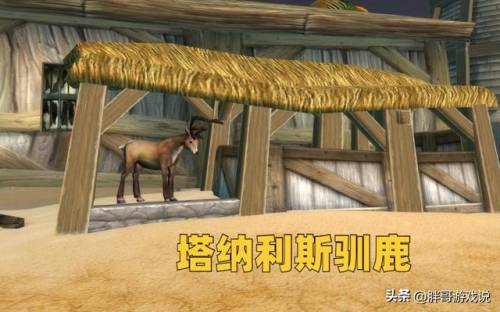 魔兽世界冬幕节成就攻略(魔兽世界寒冬印记任务)