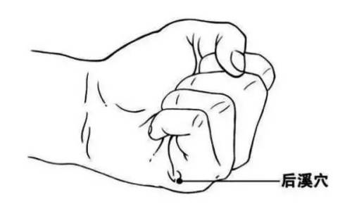 生命线攻略图解大全(生命线尾部分叉图解)插图3 生命线攻略图解大全(生命线尾部分叉图解)插图3