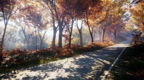 打猎游戏单机版(野外打猎的手机游戏)插图1 打猎游戏单机版(野外打猎的手机游戏)插图1