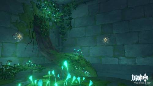 水月池解密继电石放置位置(水月池能充电的石头干嘛的)插图5 水月池解密继电石放置位置(水月池能充电的石头干嘛的)插图5