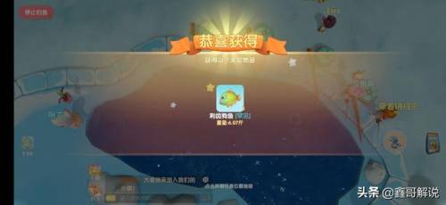 奇异毛毛豆怎么做(现在的毛豆怎么没有毛)插图15