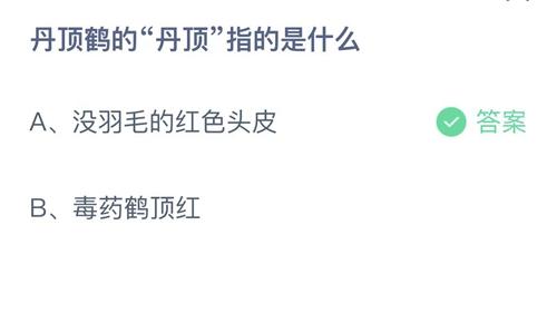 丹顶鹤的丹顶(丹顶是指什么)