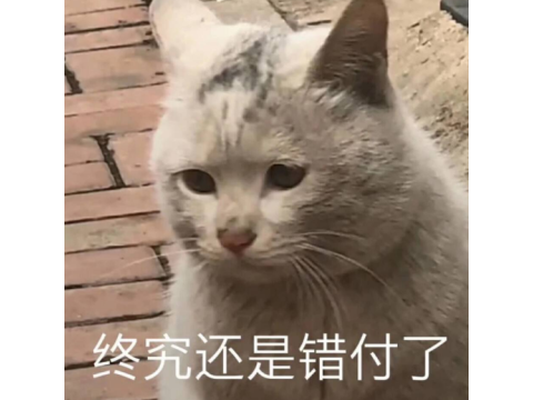 永恒之塔现在还要点卡吗(永恒之塔现在怎么收费)