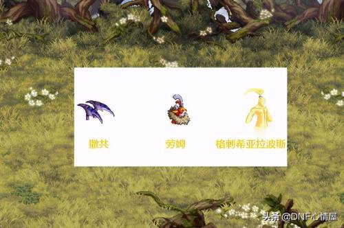 dnf会进化的宠物有哪些(奥兰奶奶的四个宠物)插图4