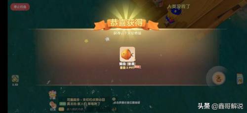 奇异毛毛豆怎么做(现在的毛豆怎么没有毛)插图19
