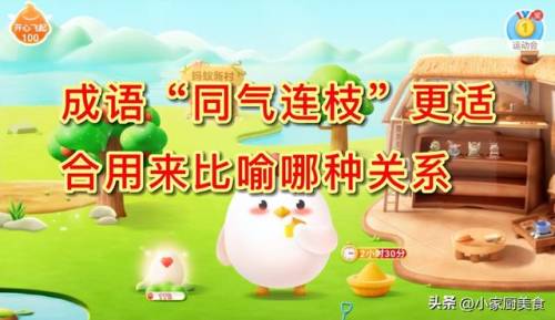 琴瑟之好蚂蚁庄园(飞行鸟蚂蚁庄园)插图