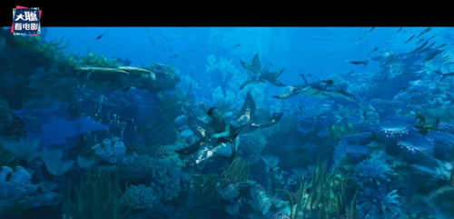 《阿凡达2》预告曝光(阿凡达2电影什么时候上映)插图37