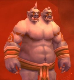 魔兽世界附魔十字军图纸(十字军图纸哪里掉几率最高)插图7 魔兽世界附魔十字军图纸(十字军图纸哪里掉几率最高)插图7