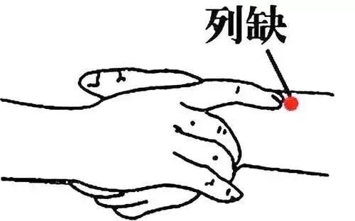 生命线攻略图解大全(生命线尾部分叉图解)插图2 生命线攻略图解大全(生命线尾部分叉图解)插图2