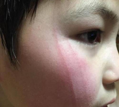 喵星人大作战(猫咪大战争官方正版)插图2