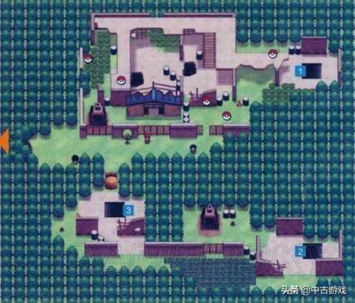 口袋妖怪黑白全地图(精灵宝可梦黑白图文攻略)插图67