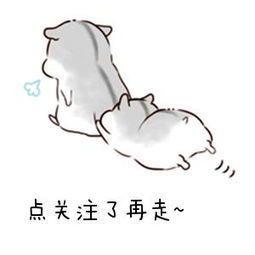 骑马与砍杀一键满级兵(战团怎么让城镇自动招兵)