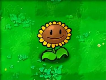 植物大战僵尸1汉化版(pvz1中文手机原版)插图2