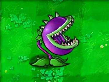 植物大战僵尸1汉化版(pvz1中文手机原版)插图7