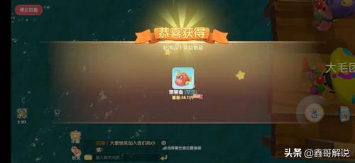 奇异毛毛豆怎么做(现在的毛豆怎么没有毛)插图25