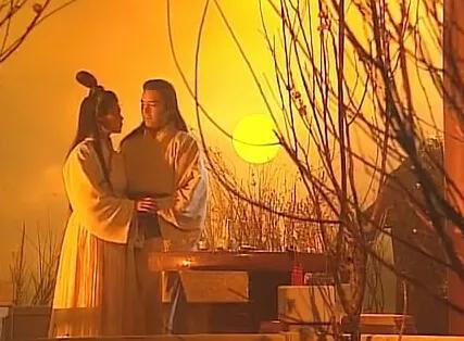 九阴真经姜大卫版优酷(东邪西毒姜大卫电视剧)插图46