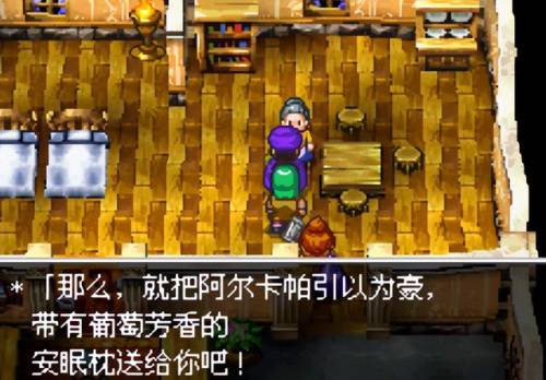 nds勇者斗恶龙5图文攻略(nds勇者斗恶龙5最实用的怪物伙伴)插图9